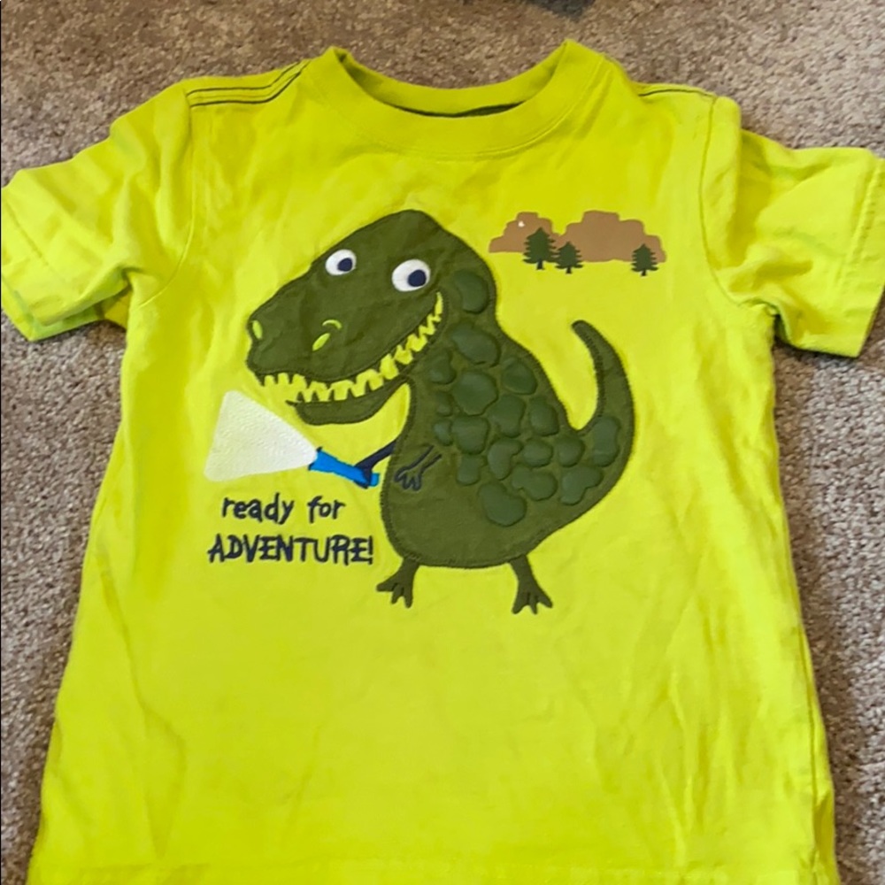 Boys dinosaur shirt